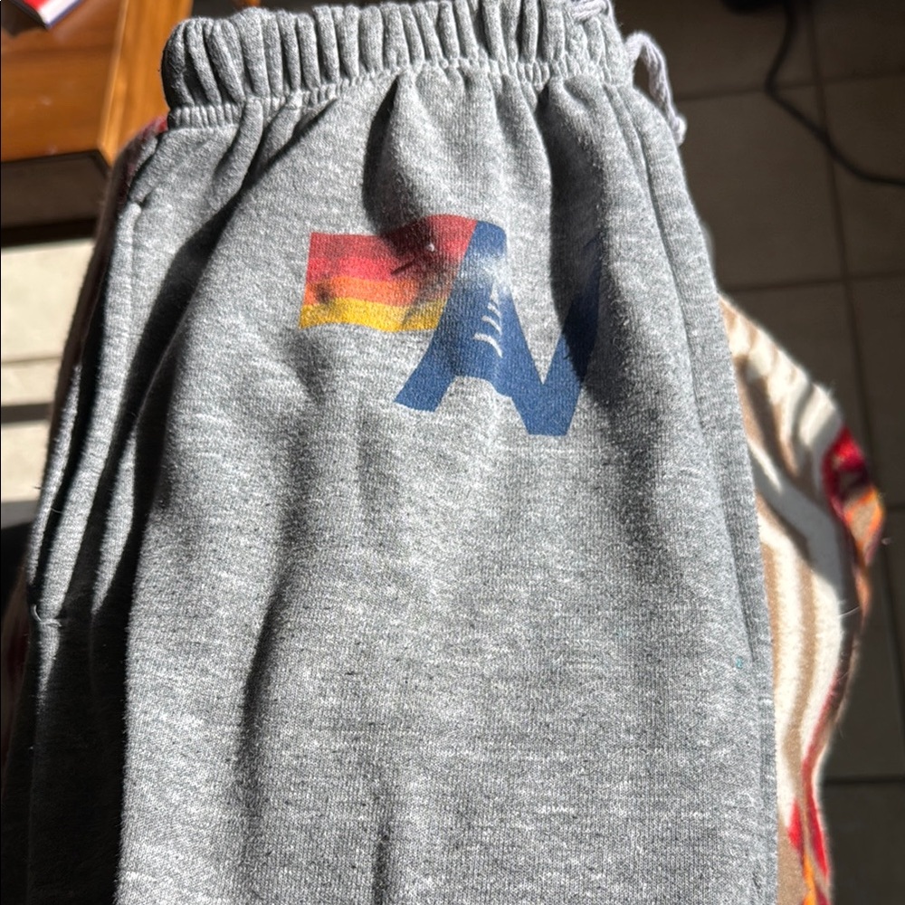 Aviator nation men’s sweatpants